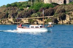 Capeador 32 Cabina