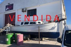 LLAUT CAPEADOR 36