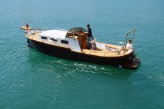 Saura 50