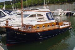 Saura 50